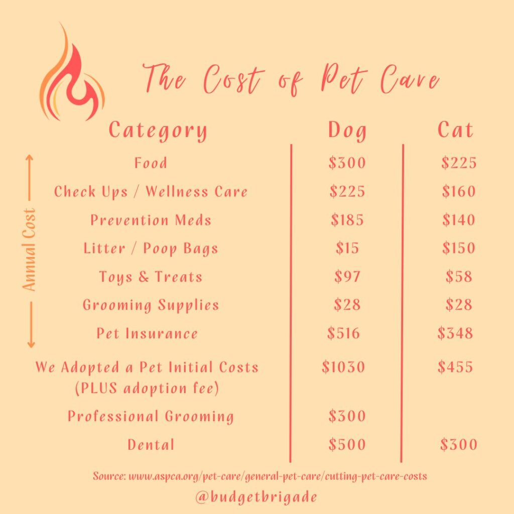 We cover some of the average pet care costs to make budgeting for pets easier.