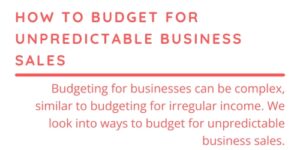 How to Budget for Unpredictable Business Sales