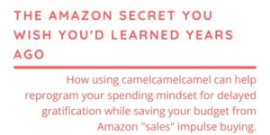 Camelcamelcamel, The Amazon Secret You Wish You’d Learned Years Ago