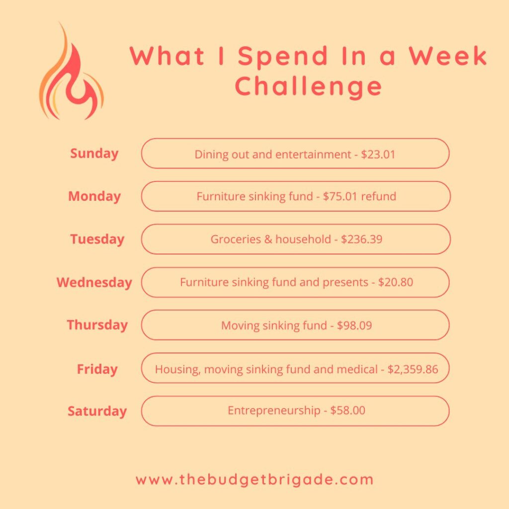 Summary of my What I Spend In a Week Challenge